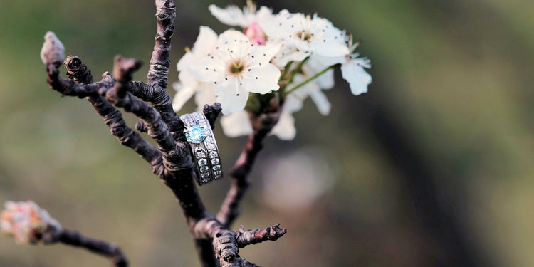 Spring Collection