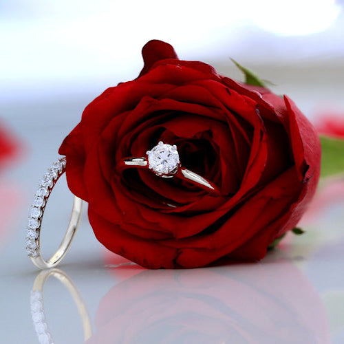 St. Valentine’s Day Collection