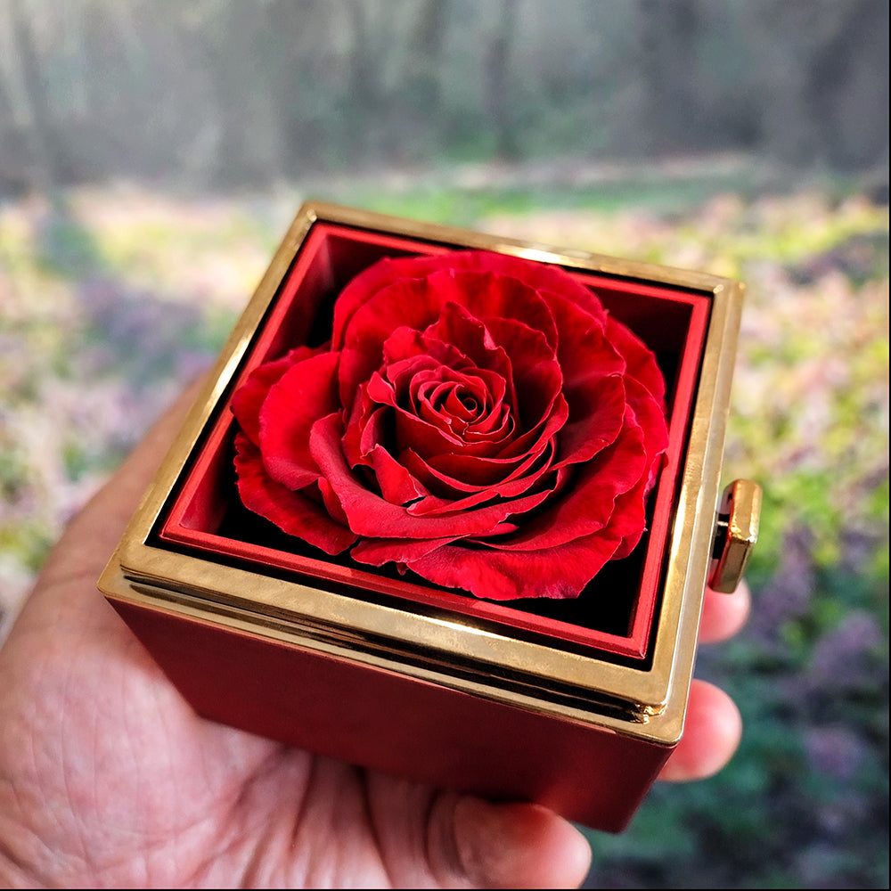 Collar de nudo de amor de Ave María con rosa eterna y tarjeta de oración en español