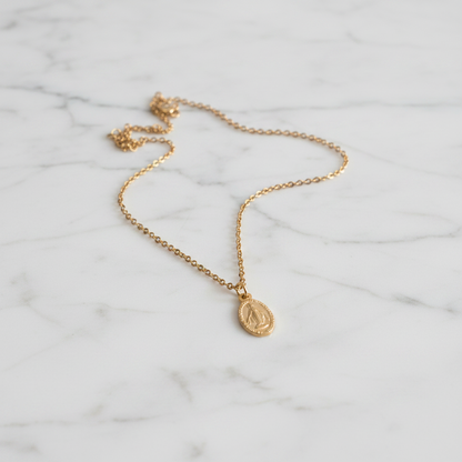 Miraculous Medal Necklace in Gold Stainless Steel with Gift Box