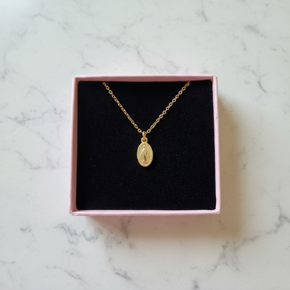 Miraculous Medal Necklace in 14K Gold Plated Stainless Steel