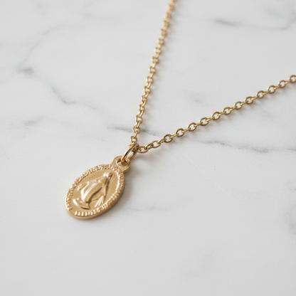 Miraculous Medal Necklace in Gold Stainless Steel