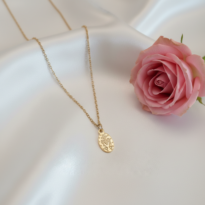 Miraculous Medal Necklace in Gold Stainless Steel