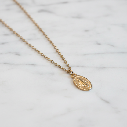 Miraculous Medal Necklace in Gold Stainless Steel