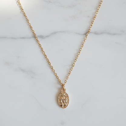 Miraculous Medal Necklace in Gold Stainless Steel