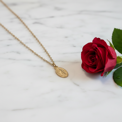 Miraculous Medal Necklace in Gold Stainless Steel