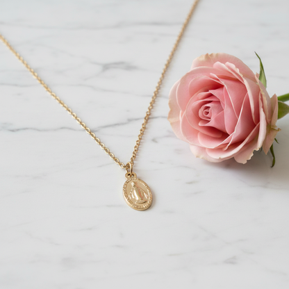 Miraculous Medal Necklace in Gold Stainless Steel