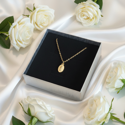 Miraculous Medal Necklace in Gold Stainless Steel with Gift Box