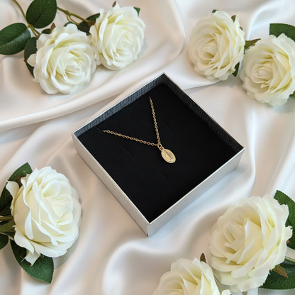 Miraculous Medal Necklace in Gold Stainless Steel with Gift Box