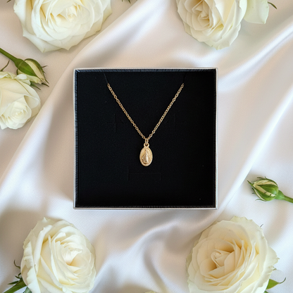 Miraculous Medal Necklace in Gold Stainless Steel with Gift Box